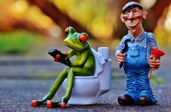 constripation during chemoterapy. Image of frog sat on toilet with a plumber and plunger