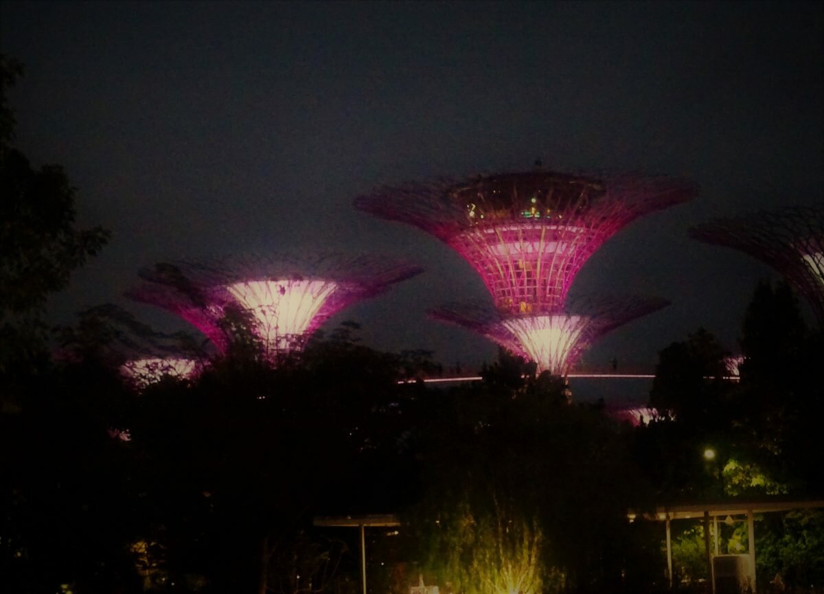 gardens by the bay at night