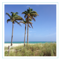 south florida