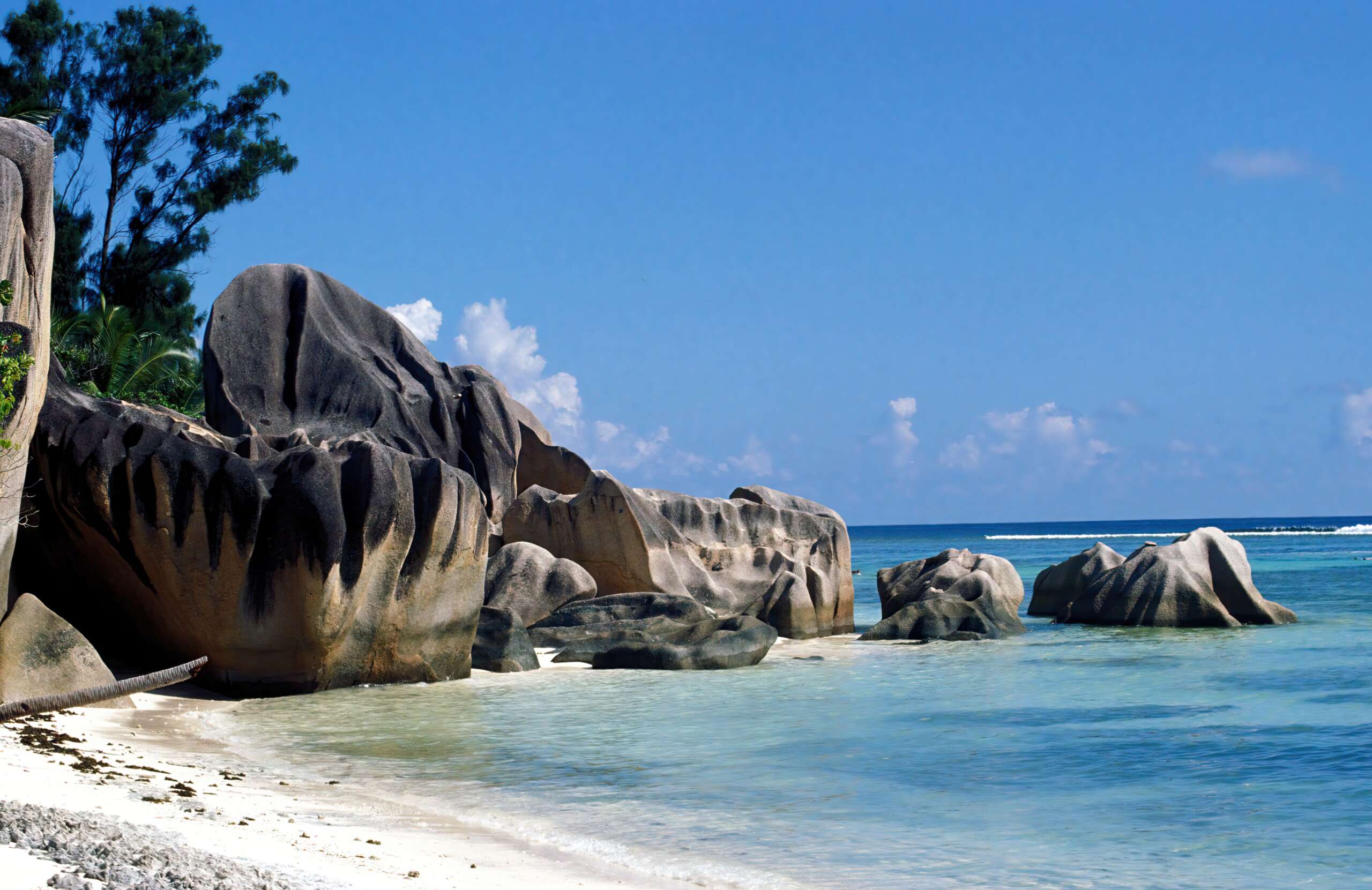 Skip the shovels: 5 family-friendly beach destinations to keep you warm during the holidays